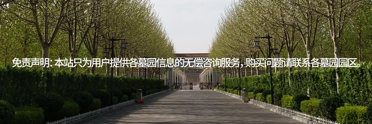 殡葬,殡仪,殡葬服务